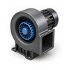 One Motor Serves January and July