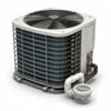 Cooling-Season Visit